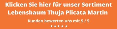 https://www.gardline.de/24-lebensbaum-thuja-plicata-martin-kaufen